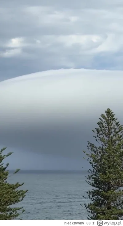 nieaktywny_88 - Cronulla, Sydney - 17.12.2024
#ufo #ufonapowaznie