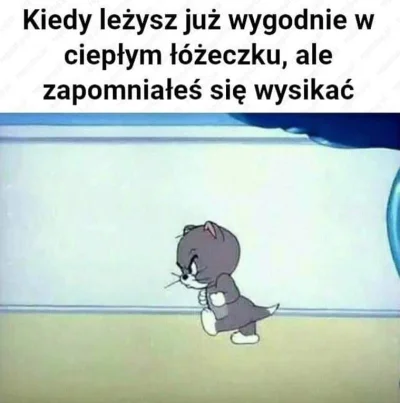 Mega_Smieszek