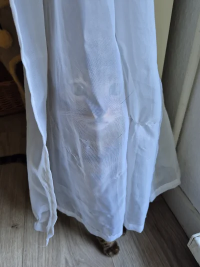 Lujdziarski - #pokazkota #dziarskikacperek wcale go nie widzę