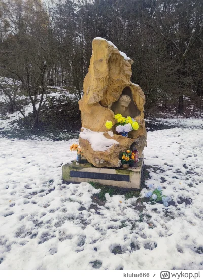 kluha666 - Właśnie przed chwilą wróciłem ze spaceru. Od razu poczułem przypływ energi...