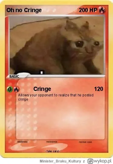 MinisterBrakuKultury - @CzikaKiri: