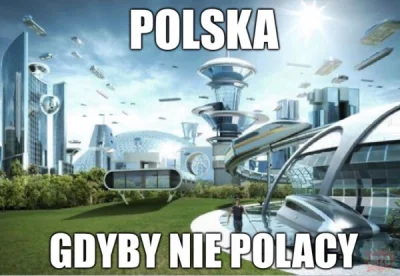 Tagliacozzo - @Wielka-Polska-Betonowa: POV: Polska gdyby nie deweloperzy i p0lki