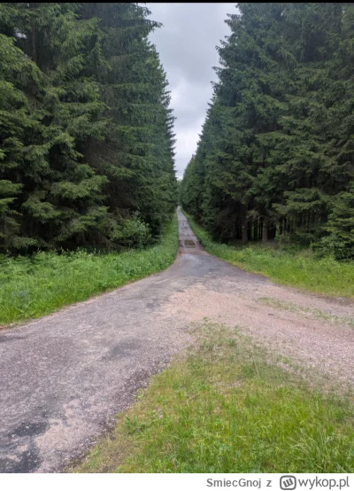 SmiecGnoj - Wszystkie drogi prowadzą na #spierdotrip