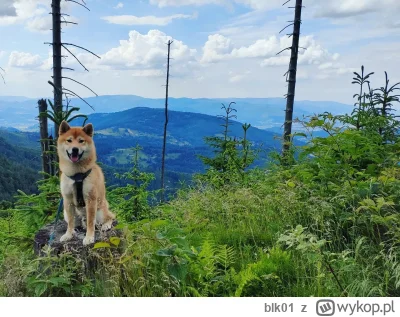 blk01 - @JarekNoooTego: z piesełskim pozdrowieniem!