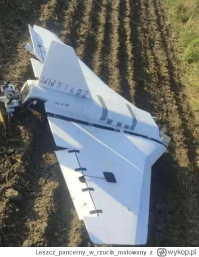 Leszczpancernywrzucikmalowany - Ta akcja #ruskaonuca jest bardzo chwalebna ale pół kr...