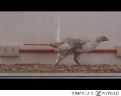 ROMAN3D - https://www.youtube.com/watch?v=YMmgnpcaKyM