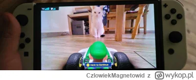 CzlowiekMagnetowid - Jestem dorosły więc kupiłem Mario Kart Live i gonie się z kotem ...