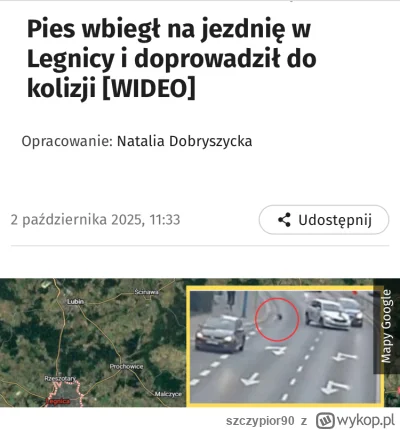 szczypior90 - https://wiadomosci.onet.pl/wroclaw/pies-doprowadzil-do-kolizji-w-legnic...