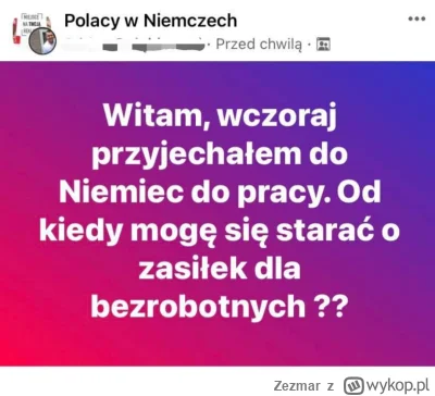 Zezmar - Człowiek wyjdzie z Polski jednak nawyki pozostają polskie . #polska #niemcy ...