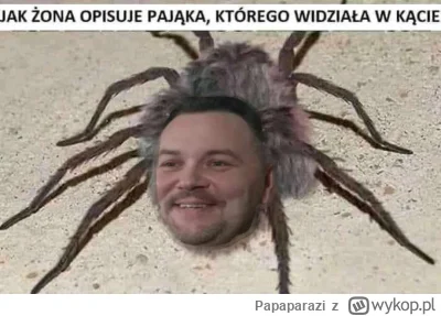 Papaparazi - #slubodpierwszegowejrzenia