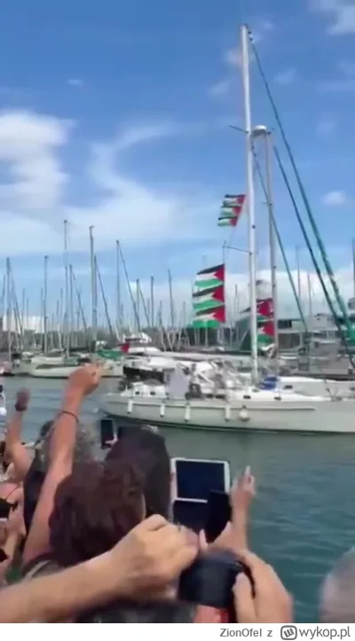 ZionOfel - Flotylla klaunów 2.0
Tym razem służby Izraela Gretę wraz z towarzyszami i ...