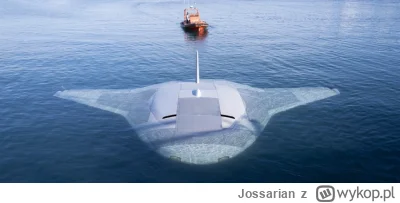 Jossarian - Ciekawe kiedy się pojawią drony podwodne albo z możliwością zanurzania.
A...