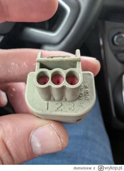 dumelosw - Tak wygląda wtyczka