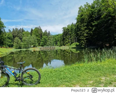 Pepu323 - Pozdro z samotnej wycieczki. Pogoda piękna 
#rower