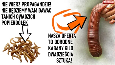 lakfor - #robaki #owady #owadydojedzenia #platformaobywatelska #trzaskowski