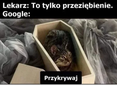 Leisik34 - #heheszki #humorobrazkowy #koty #zdrowie