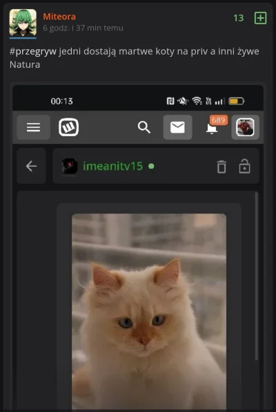kolorowy_monochrom - Mandon i jego koledzy z discorda wysyłają ludziom martwe koty i ...
