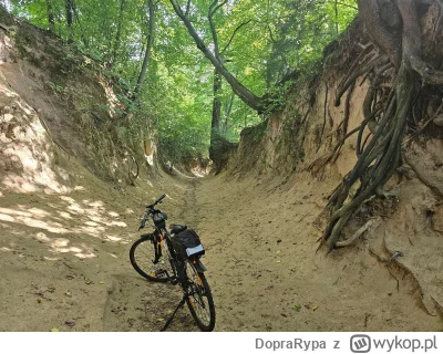 DopraRypa - 601 827 + 145 = 601 972

Wczorajsza wycieczka z Dęblina do domu.

Total...