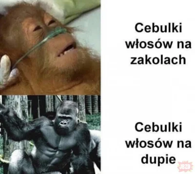 MLeko29 - Dzień dobry