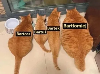 OgurRicc - Opis obrazka