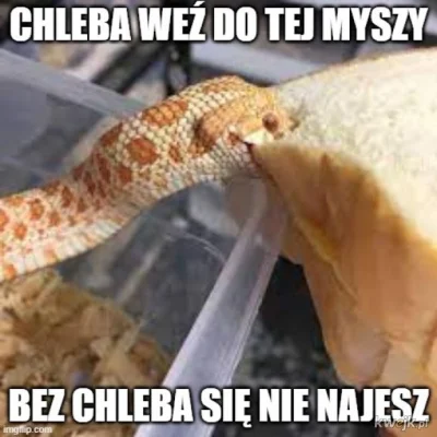 schnippen_schnappen - #heheszki