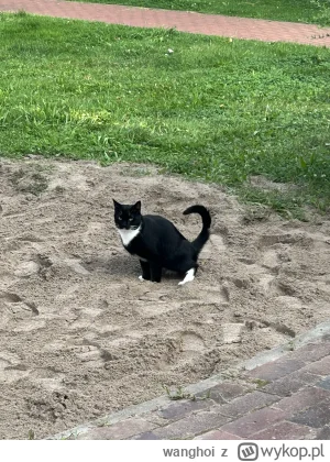 wanghoi - Wiecie co najbardziej boli i trigeruje rosjan? Jak im się wspomina fakt, że...