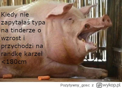 P.....c - Czas przywrócić modę na najlepszy trend p0lko-memowy! #swinkapolka ( ͡°( ͡°...