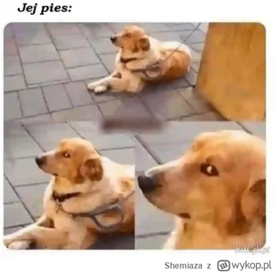 Shemiaza - @Marvado:
Pomoc w czymś?