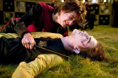 z.....i - Pomocy, pomocy! Cedric Diggory został zabity! Tak, Cedric Diggory, mój rywa...