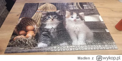 MadIen - wracam do układania po dłuższej przerwie. #puzzle #koty