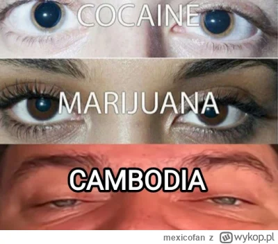 mexicofan - Ja tylko przypominam, że to kolejny rok, kiedy jedno z dzieci w Polsce ni...