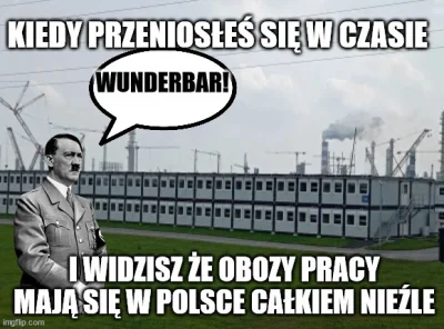 PIAN--A_A--KTYWNA - #heheszki #ocieplaniewizerunkuadolfahitlera #orlen