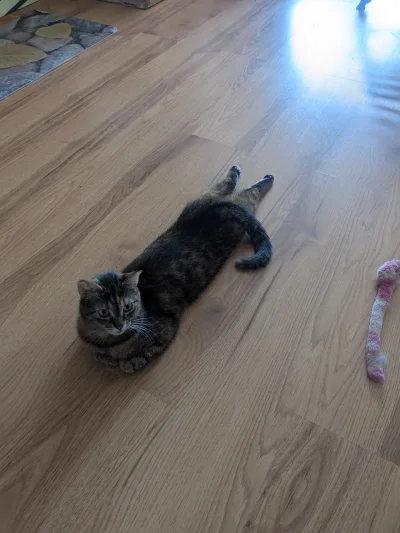 b0dyload - @b0dyload:  halo, wieża kontrolna! Rozpoczynam manewr ładowania, łapki się...