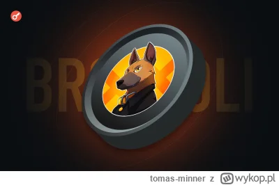 tomas-minner - Memecoin BROCCOLI: ile można było zarobić i jak wpłynął na BNB 

https...