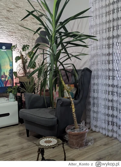 Alter_Konto - #zwiazki #logikarozowychpaskow
Znów różowa przytargała jakieś zielsko