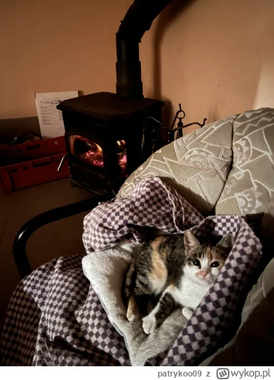 patrykoo09 - @patrykoo09: