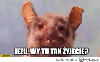 szejk_wojak - #linux #c-----------t

Po raz pierwszy zainstalowałem tego słynnego Lin...