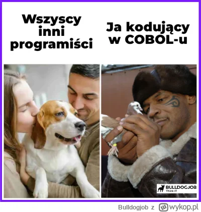 Bulldogjob - Tacy sami, gołębnik między nami 

#heheszki #humorobrazkowy #programowan...