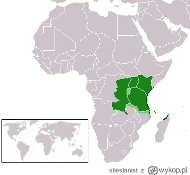 silesianist - Język Swahili.