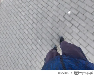 uszyk90 - Łapiemy pogodę ᕙ(⇀‸↼‶)ᕗ
#rolki