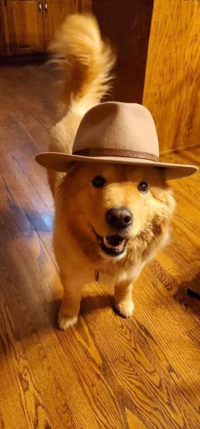 shrKEK - Howdy partner