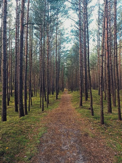 barubar - @ChlopoRobotnik2137: fajna fajna :) a na dodatek jest i 'pumptrack'