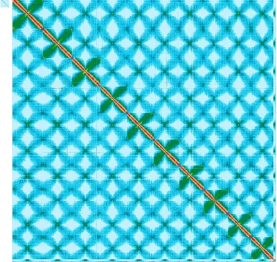 Apaturia - Genom ludzki u góry po lewej: