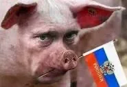 Kulawy_Lis - Ale musi być kwik wśród świń na kremlu