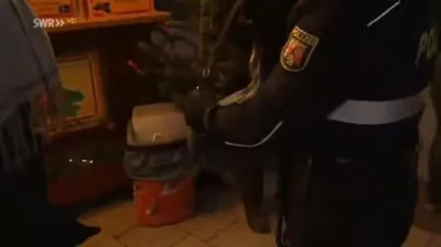 Krole - @poradnikspeleologiczny: