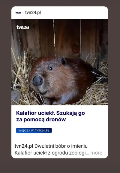 JajkaNieMajaBialek - PILNE