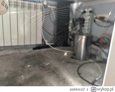 pablos22 - byłem na parę chwil poza mieszkaniem a ziomek sobie porozciągał lokalną si...