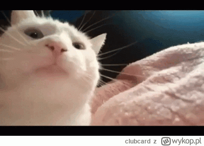 clubcard - Piekne oranie grubego

#famemma