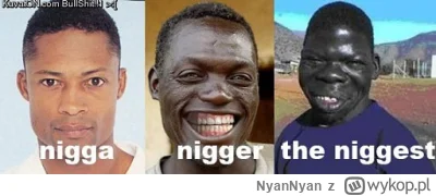 NyanNyan - @robert-oro: ( ͡° ͜ʖ ͡°)