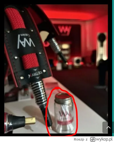 Roszp - Czekaj, czy ja dobrze widzę? Producent kabli na pokazach ma brandowane patycz...